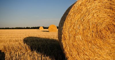Take part in survey about heat production from agrobiomass in Ukraine